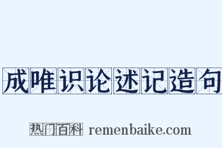 成唯识论述记造句是什么意思的图片